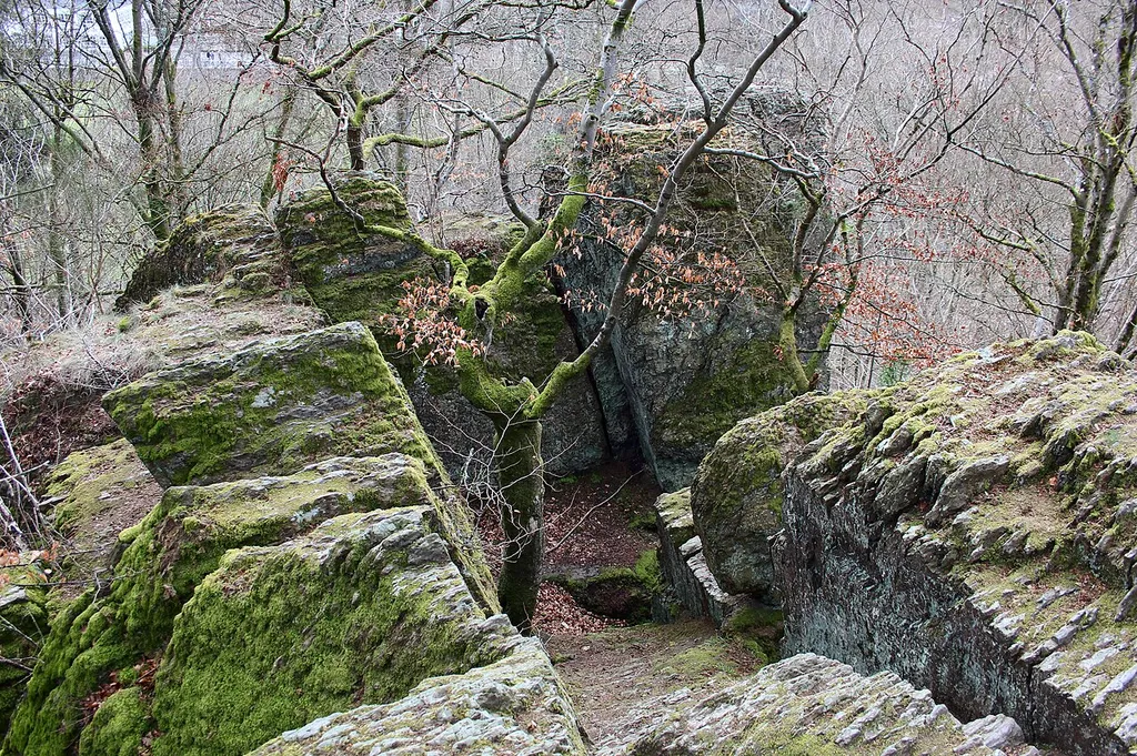 Castle Burg Vroneck (also Froneck), former Burg Nister (also Nistria), castle in Müschenbach on Mount Burberg, Müschenbach, Rheinland-Pfalz, Westerwaldkreis, Germany