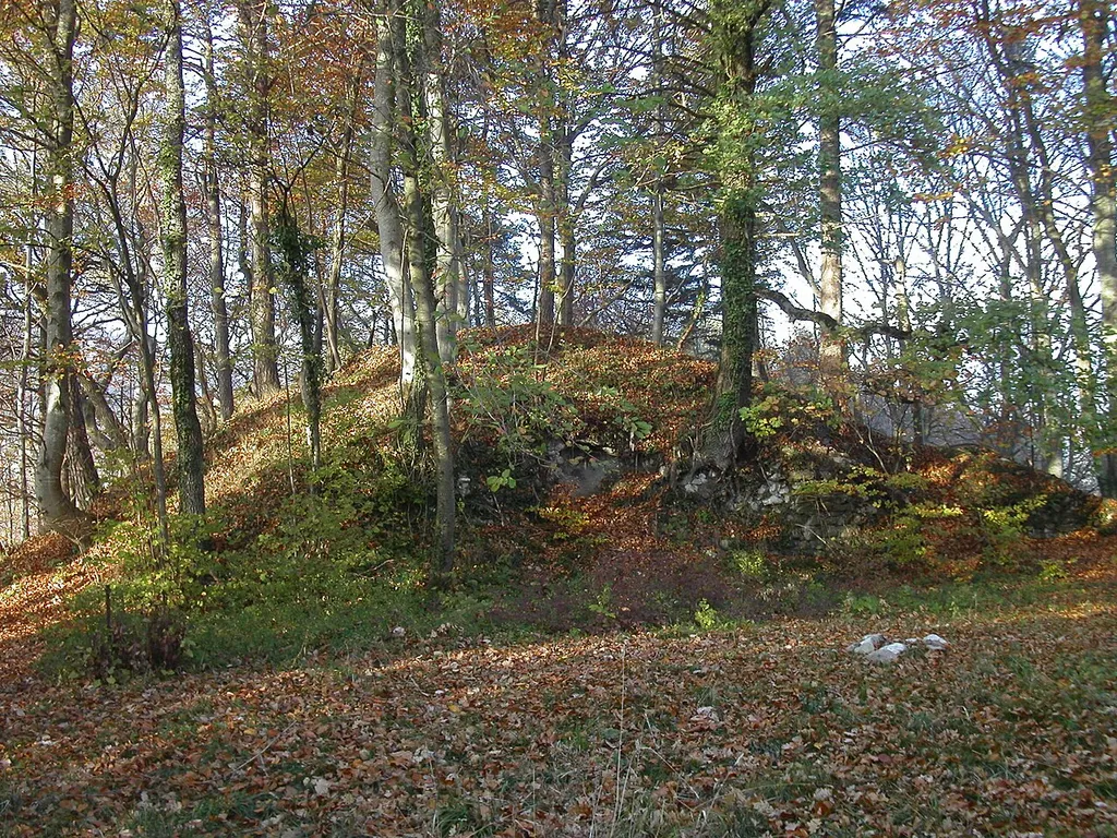 Ruines de Mont le Vieux à Essertines-sur-Rolle, côté sud
