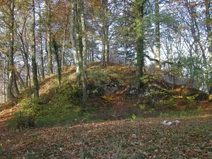 Ruins of the medieval castle of Mont-le-Vieux