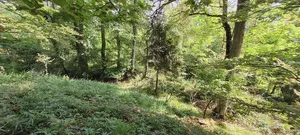 Burg Haideck