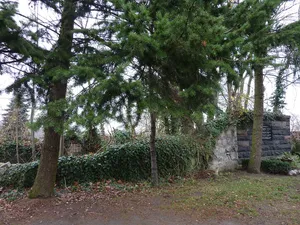 Dorfkirche Falkenberg
