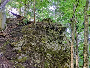 Burgruine Grafenstein