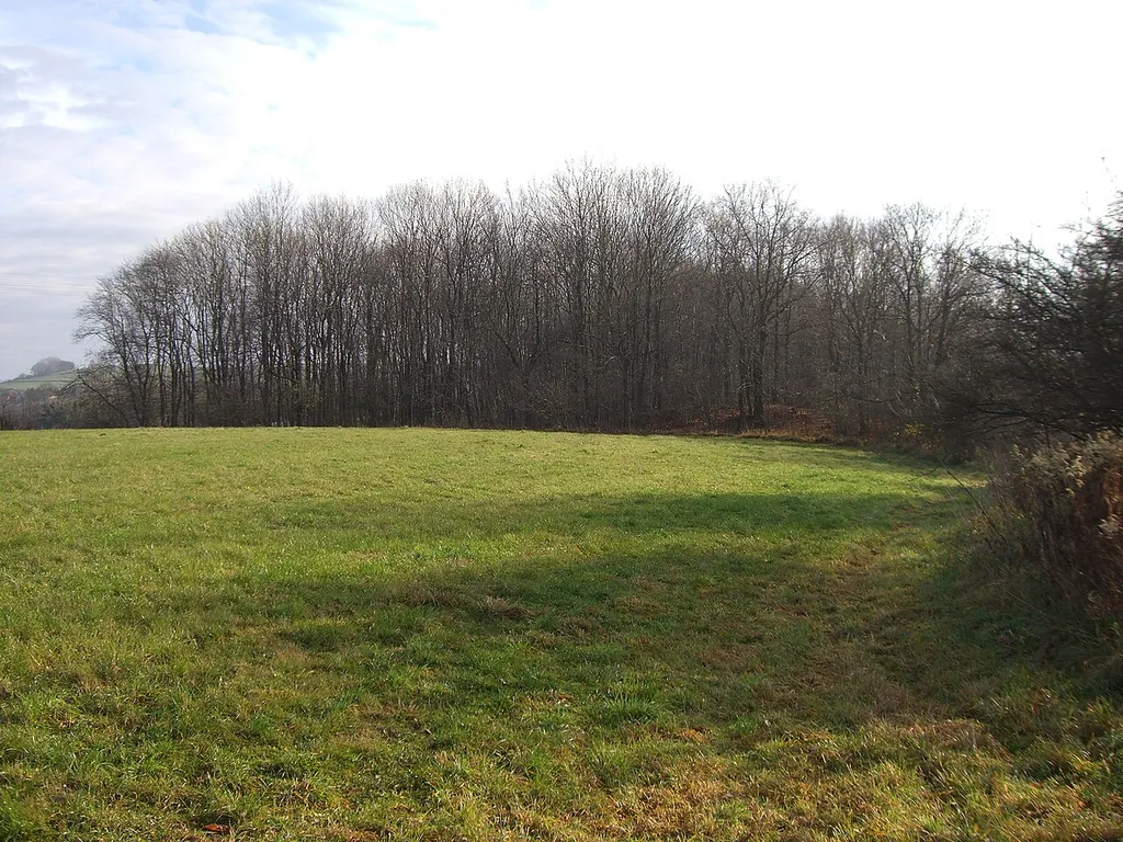 Burgwall Robisch, Nordwestseite