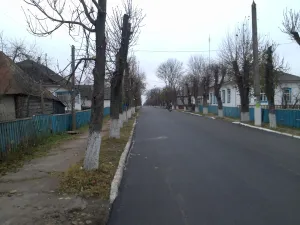 Narodychi