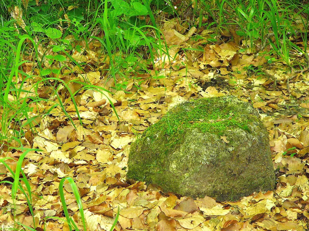IX. Burgfriedensstein, Fragment o. J., steht auf der Bergkuppe 50 m oberhalb der Bernlochnerschlucht und des Franziskanerklosters, am Trampelpfad 150 m vor der Herzoggartenmauer. (Im offiziellen Flyer der Stadt Landshut: Standort 36; Burgfriedensstein VI).