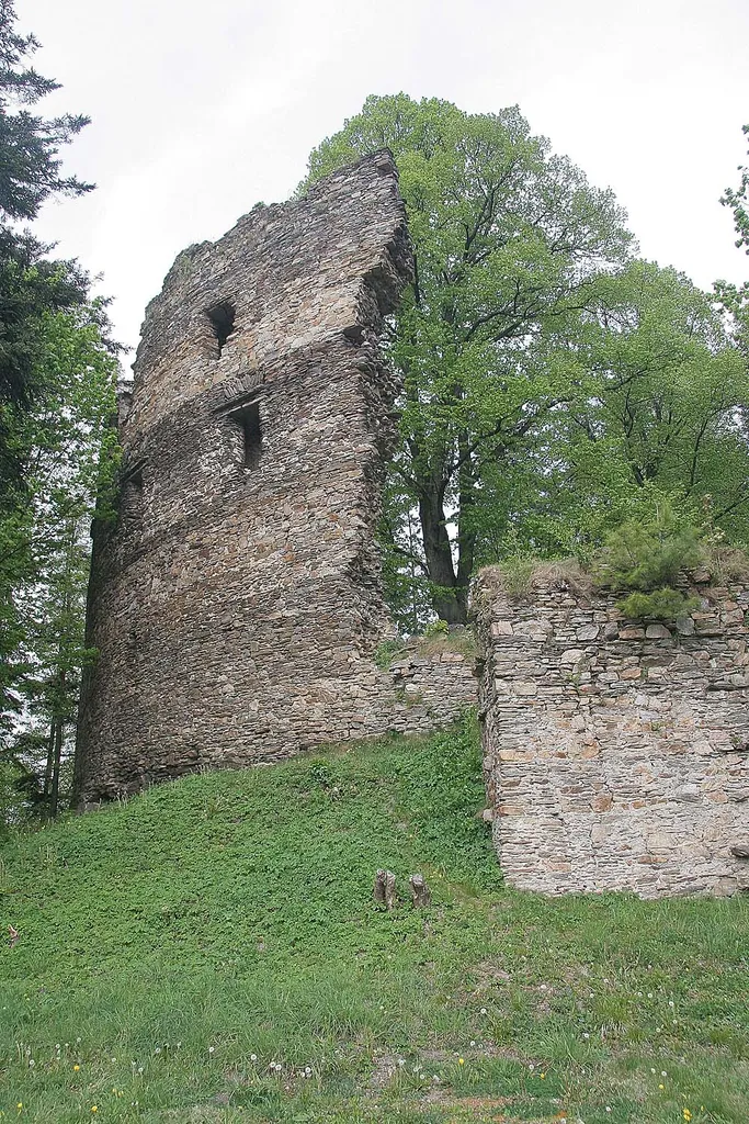 Dalečín - zřícenina hradu Dalečín, okres Žďár nad Sázavou