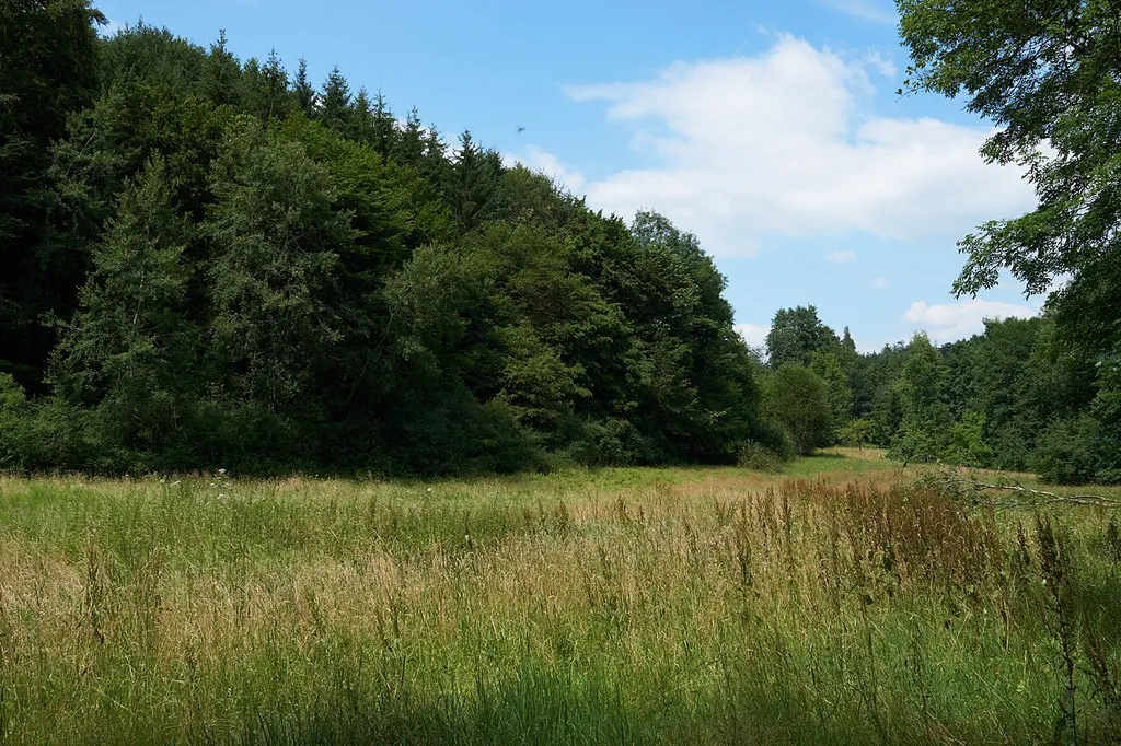 Quellenhang im Schweizerbachtal