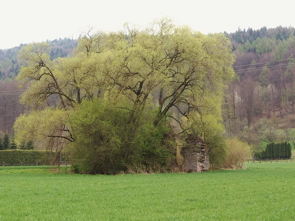 Die Reste der Bacheburg auf dem freien Feld vor dem Neustädterhof, Ortsteil von Obernburg. Um 1400 gebaut, bestand sie nur vierzig Jahre bis zur Zerstörung durch Kurmainzer Reiter. Das sind die Reste der zweiten Burg der Niederadligen von Bache, deren ältere Burg sich hinter dem Neustädter Hof auf einem Hügel befunden haben soll. Sie war eine Wasserburg, die inzwischen verlandeten Gräben sind noch zu erahnen.