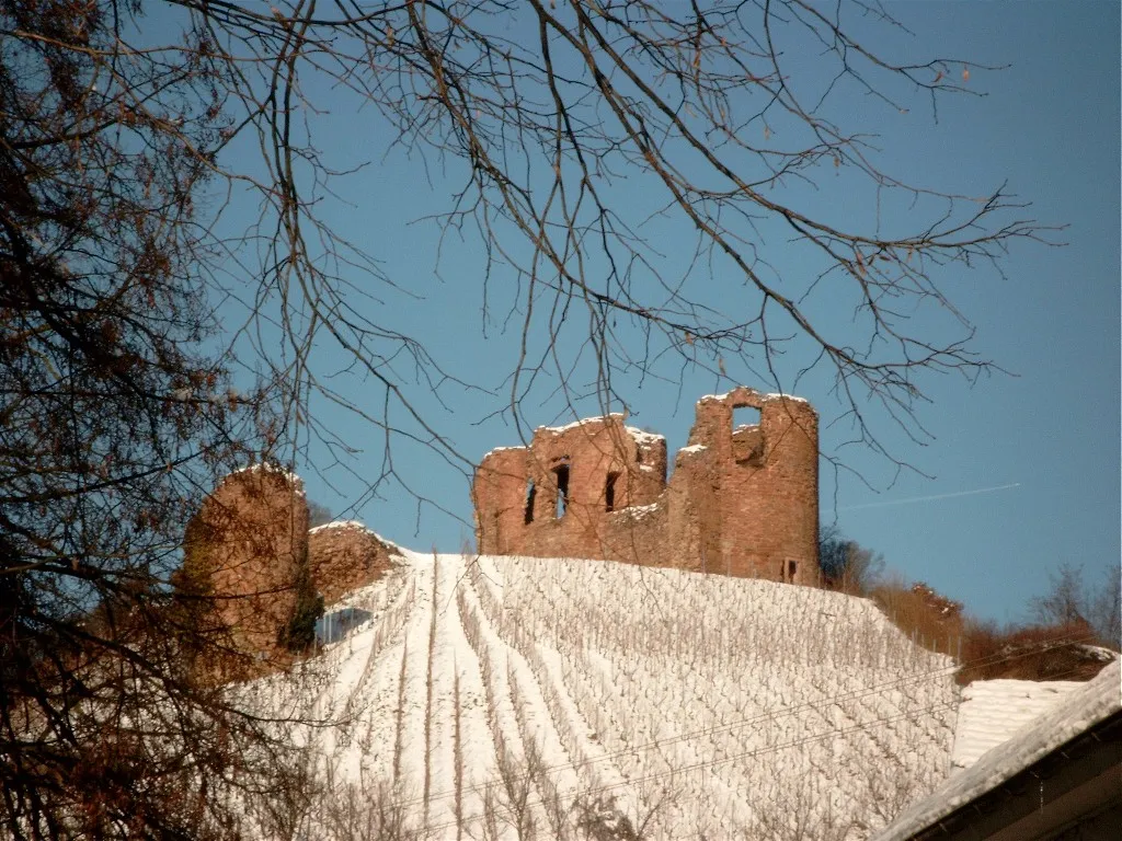 Die Gutenburg bei Gutenberg (Rheinland-Pfalz)