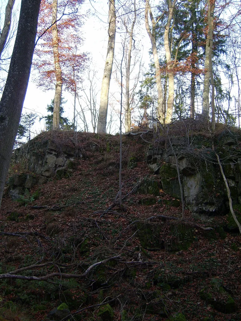 Ruine Herrenzimmern Burgstall Nußburg bei Herrenzimmern wohl die in der Zimmerischen Chronik beschriebene Lußburg, die Vorgängerburg Herrenzimmerns