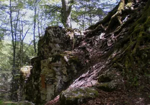Wallenburg