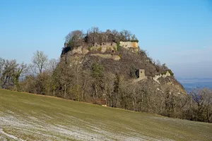 Burg Hohenkrähen