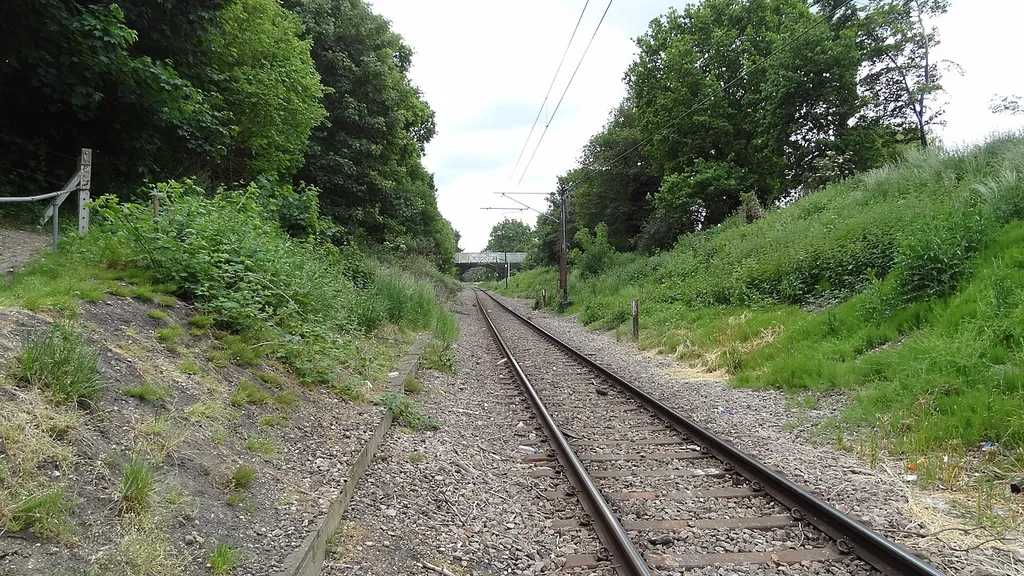 Hornchurch Cutting, geological SSSI of limit of Anglian ice sheet in Havering, London