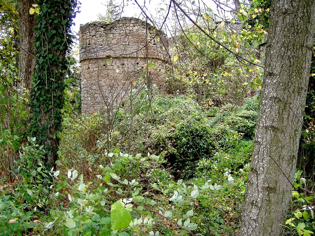 Ruine Hinterfrankenberg im Steigerwald