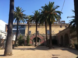 The Museum of the Mediterranean