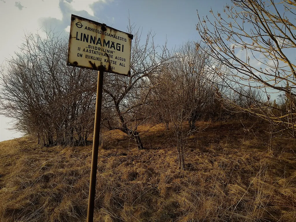 Arheoloogiamälestise teabetahvel linnuse maa-ala lõuna-kagunurgas.
