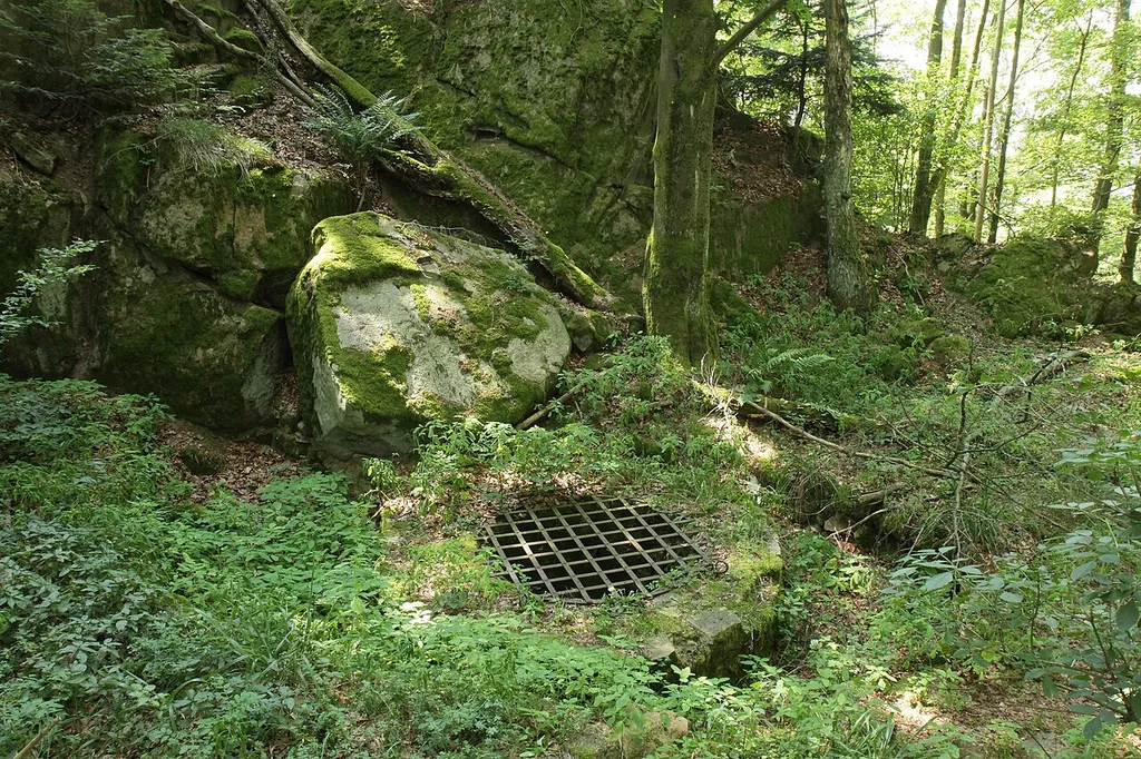 Burgstall Warberg - Burgbrunnen im Halsgraben