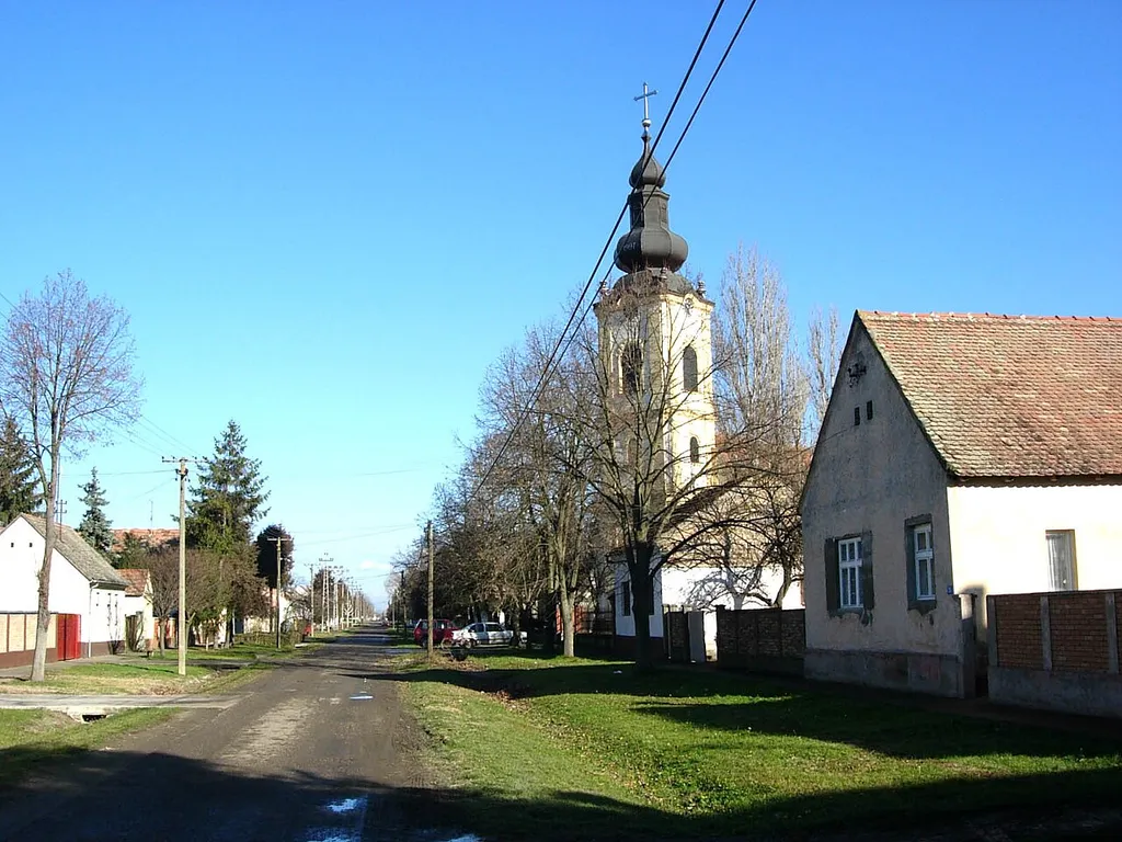 The Orthodox church in Jarak, Serbia.