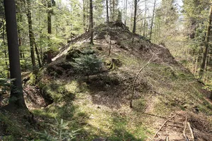 Burgruine Wurzstein