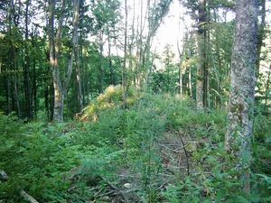 Weilerburg (Tailfingen)