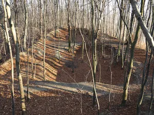Braciejowa Castle