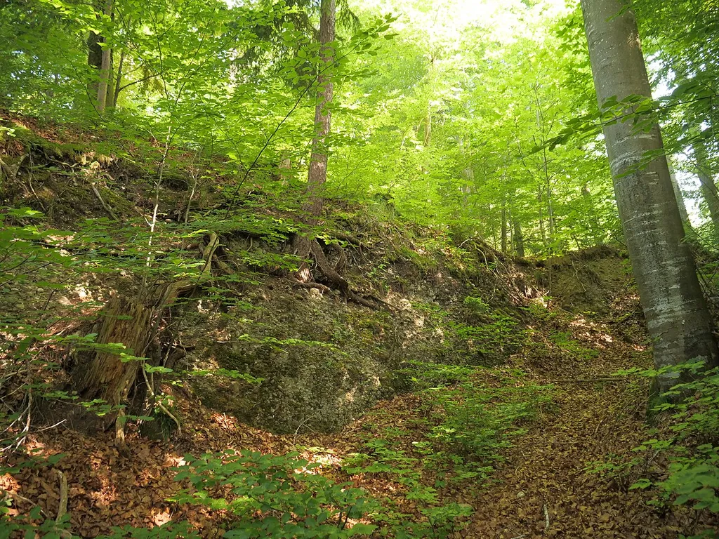 This is an image of a cultural property of regional significance in Switzerland with KGS number