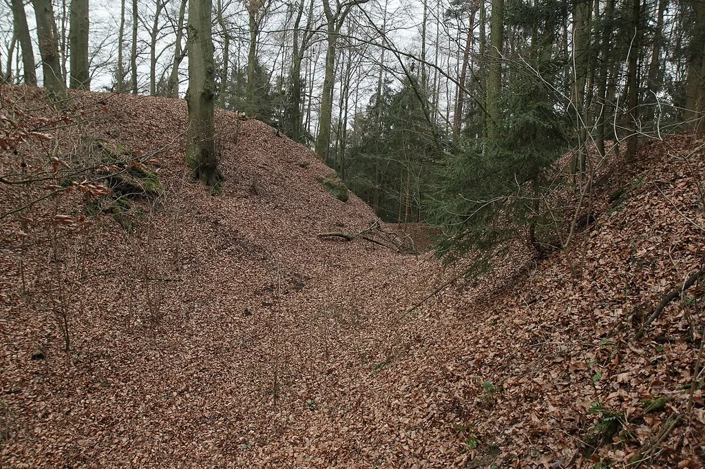 Burgstall Stauf - Blick in den Abschnittsgraben