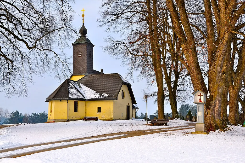 This media shows the natural monument in Carinthia with the ID VS 24.