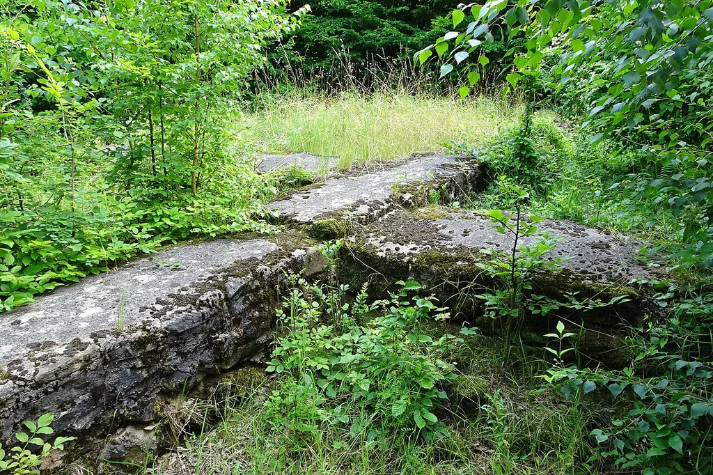 Die Fundamente der längst verschwundenen Wüstungskirche bei Hof Harmuthshausen wurden zufällig entdeckt und im Jahr 1975 vollständig freigelegt. Die Kirche gehörte vermutlich zu Hademarshausen, einer wüst gefallenen Siedlung von bislang unbekannter Größe und Ausdehnung und war wie der Ort völlig in Vergessenheit geraten und in der Landschaft nicht mehr sichtbar. Nur der überlieferte Flurname „Beim Kirchhof" erinnerte noch an das Gotteshaus. Die ausgegrabenen Überreste der Kirche des Dorfes Hademarshausen befinden sich auf einem südlich des Gutshofes Hartmuthshausen gelegenen Acker, der nach Nordwesten sanft abfällt. Das Gut liegt im südlichen Teil der Gemarkung von Datterode, einem Ortsteil der Gemeinde Ringgau im nordhessischen Werra-Meißner-Kreis.