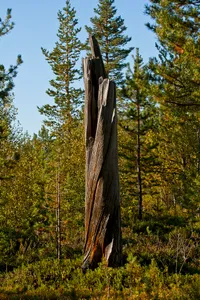 Øvre Pasvik National Park