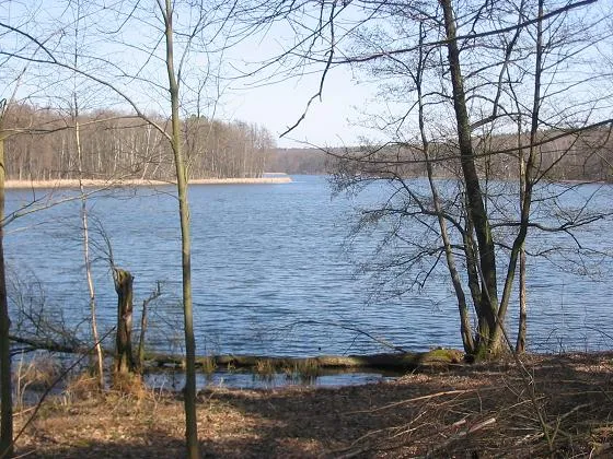 Grunewaldsee, Berlin (Südufer) fotografiert im März 2005 von Lienhard Schulz
