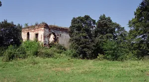Castle in Dąbrówka Starzeńska