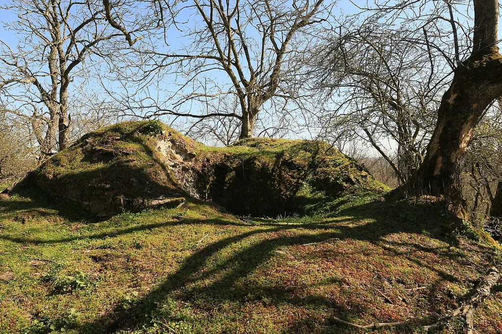 Schadewald - Blick zum Turmrest