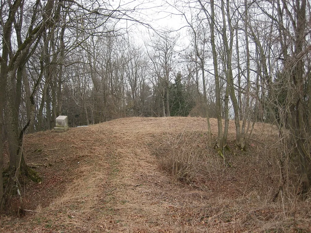 Burgstall Wolfertschwenden im Landkreis Unterallgäu, Bayern