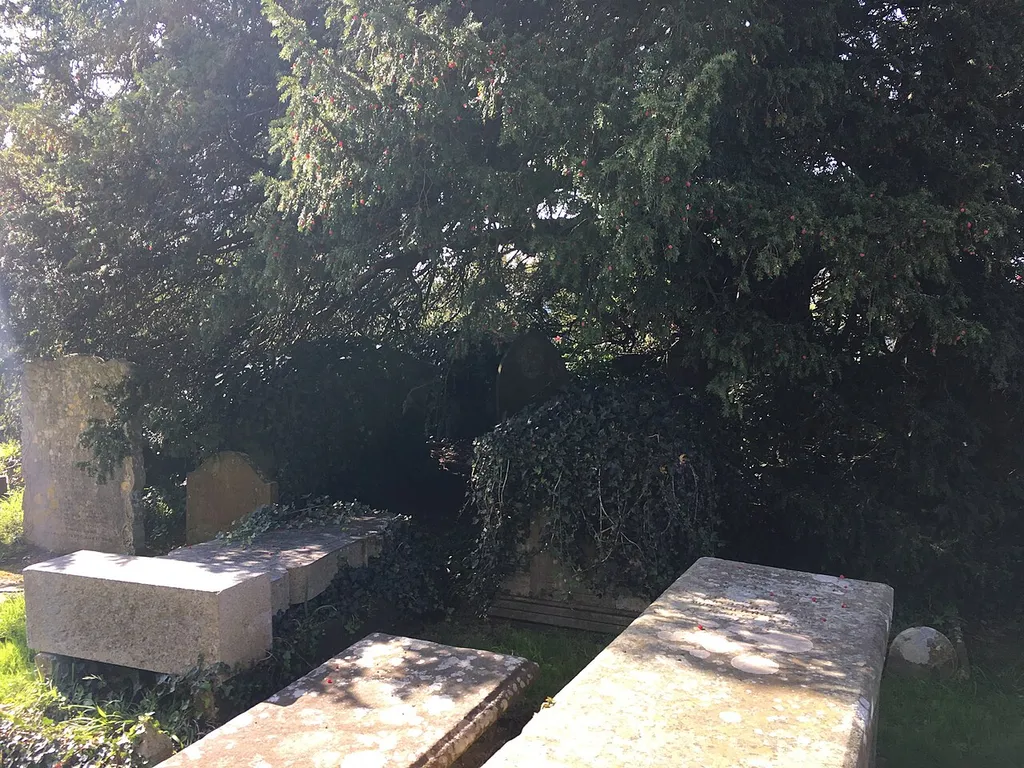 This is a photo of listed building number