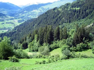 Burg Wildenberg