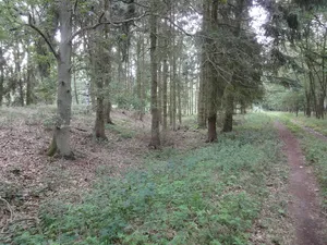 Alte Burg
