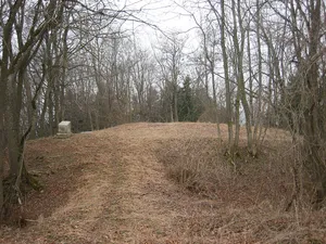 Burgstall Wolfertschwenden