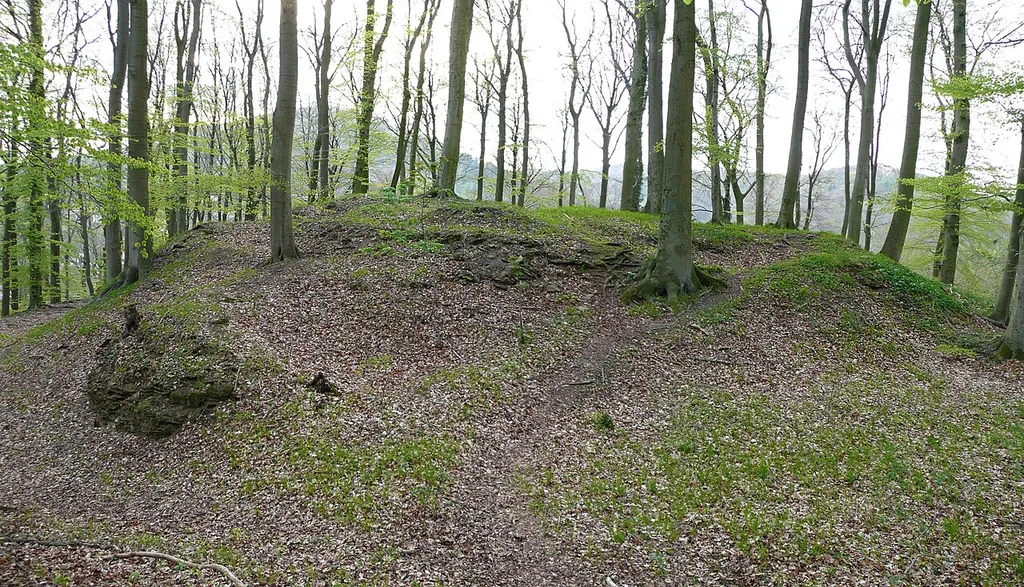 Burg Roden
