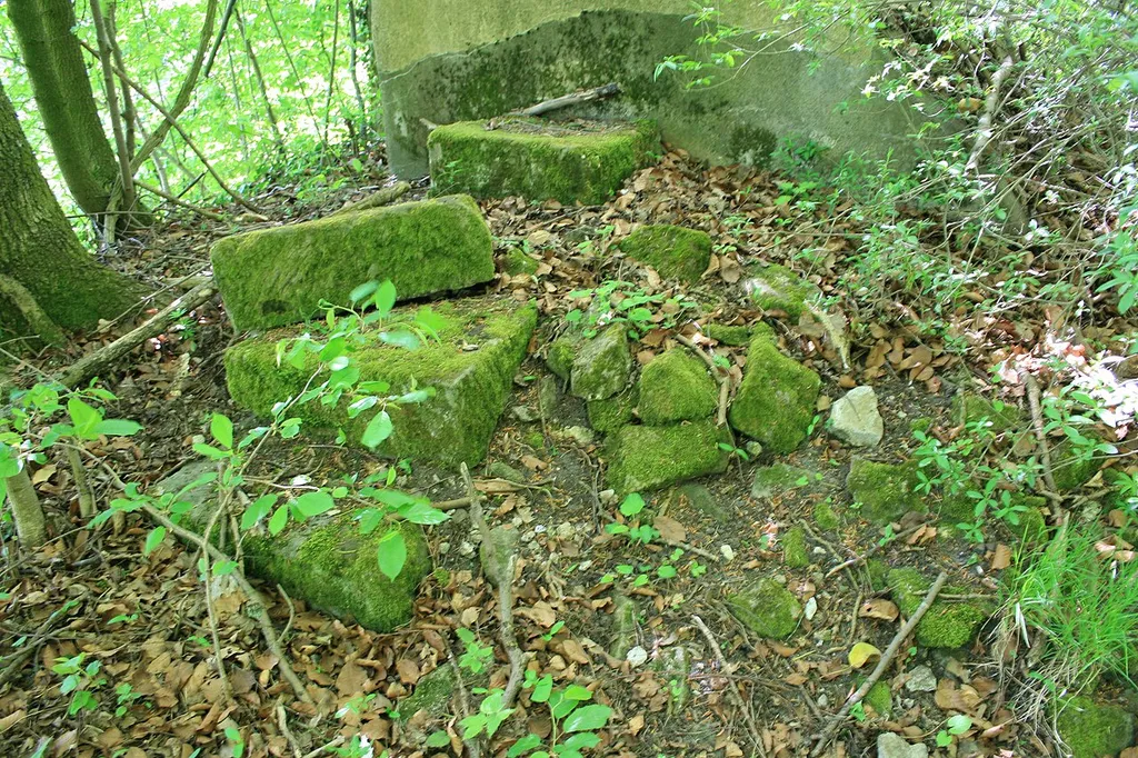Letzte steinere Zeugen der Burg Gleichen