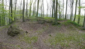 Burg Roden
