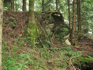 Burgstall Wachsenegg