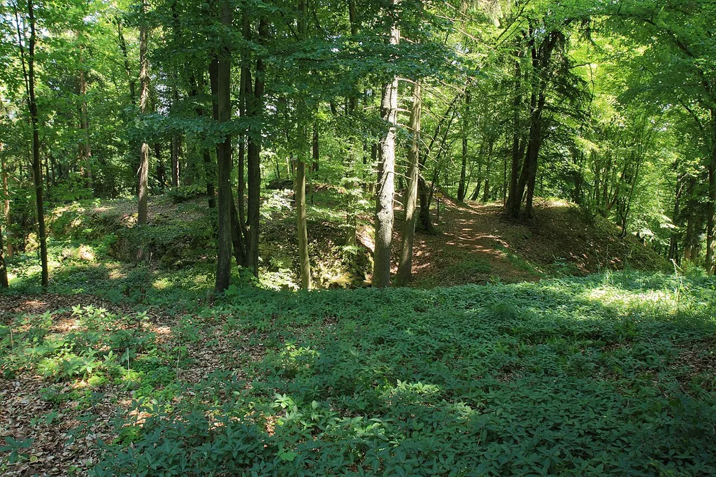 Burgruine Ödenburg (Hainsberg)