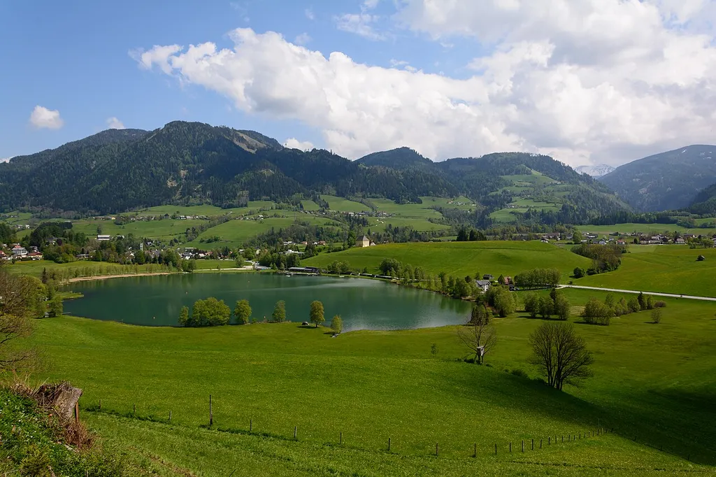 This media shows the nature reserve in Styria with the ID NSG 20 a.