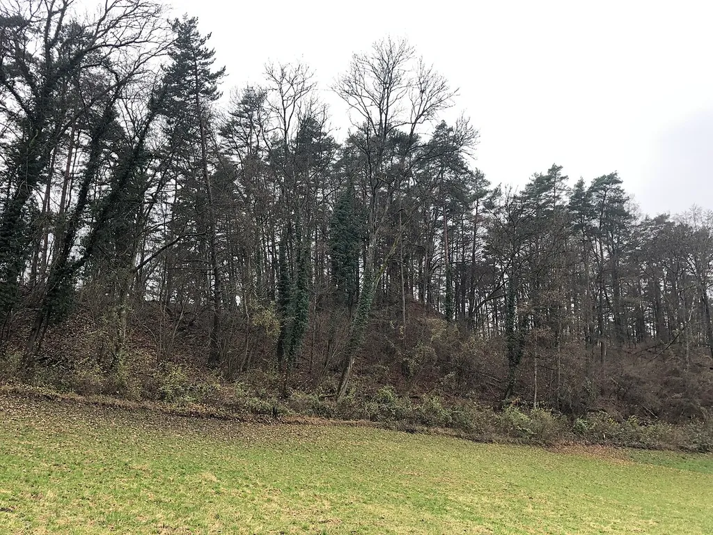 de:Burgstelle Schlossbuck Ansicht von Westen