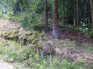 Burgstall Haglau