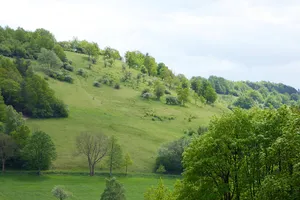 Weper, Gladeberg und Aschenburg