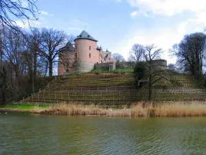 castle of Gaasbeek