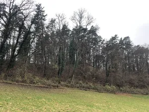 Burgstelle Schlossbuck