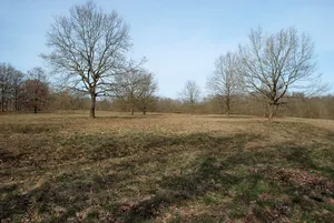 Herrnburger Dünen